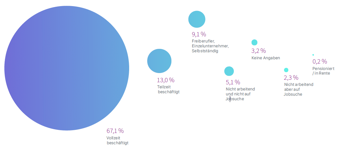 Stack Overflow Report 2017: Was deutsche Entwickler wollen Stack Overflow Report 2017: Was deutsche Entwickler wollen - Grafik 2